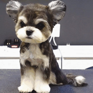 国产私拍福利精品视频
